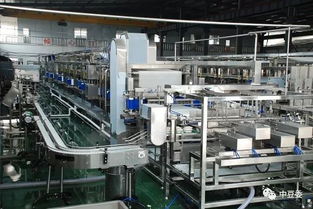 中歐豆制品行業技術交流會議召開 探索合作共贏新路徑